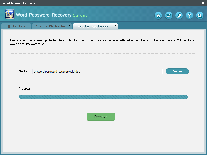 окно word password remover